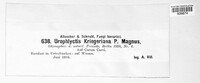 Physoderma kriegeriana image